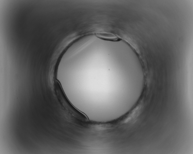 X0000091930103200709261921