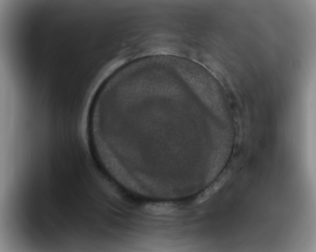 X0000091930104200709261921