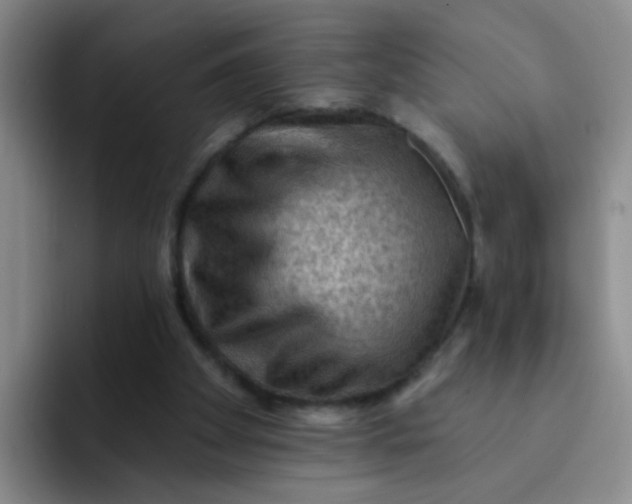 X0000091930105200709261921