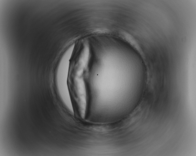 X0000091930106200709261921