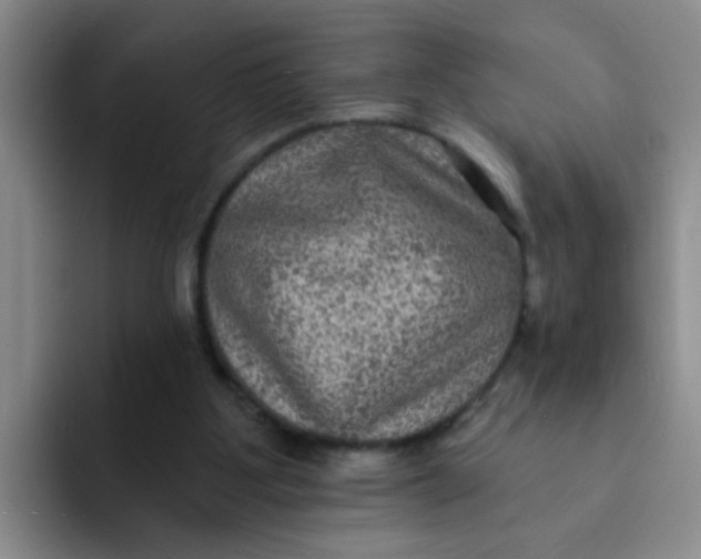 X0000091930107200709261921