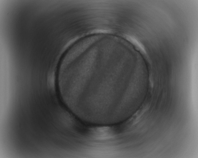 X0000091930108200709261921