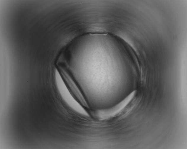 X0000091930109200709261921