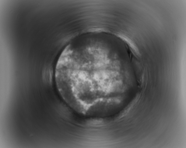 X0000091930110200709261921