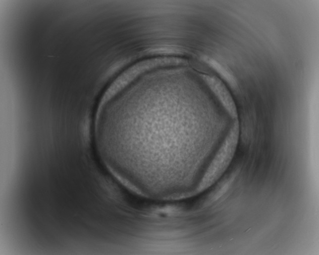 X0000091930111200709261921