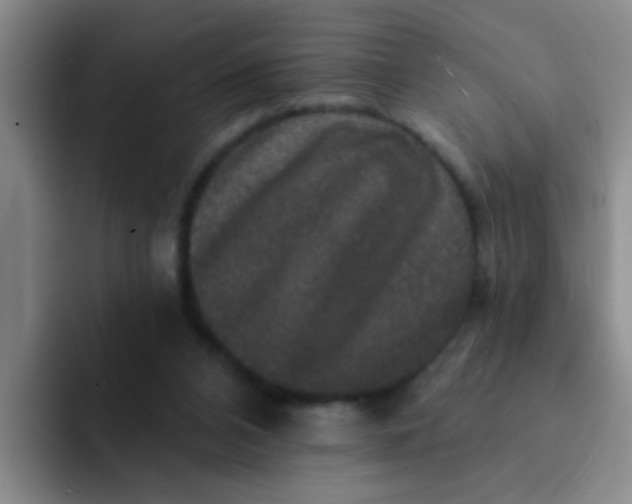 X0000091930112200709261921