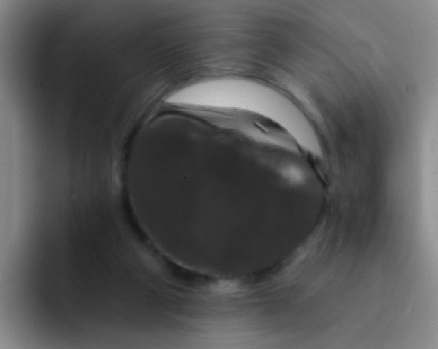 X0000091930114200709261921