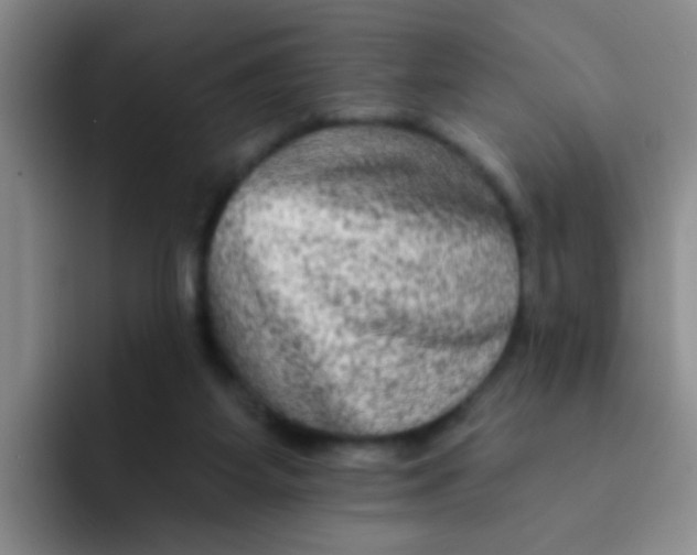 X0000091930115200709261921