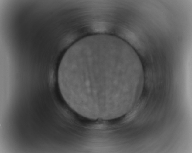 X0000091930116200709261921