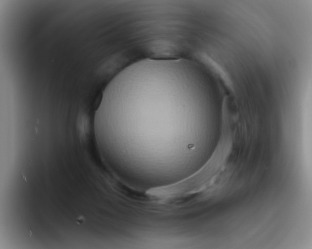X0000091930117200709261921