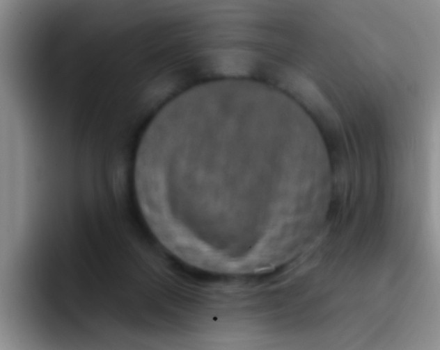 X0000091930120200709261921