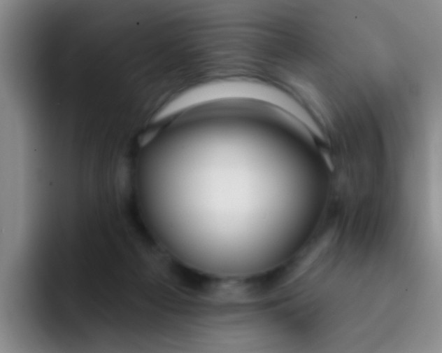 X0000091930121200709261921