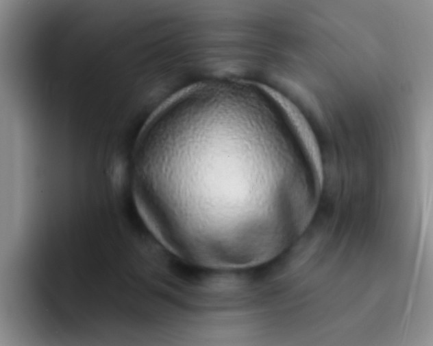 X0000091930123200709261921