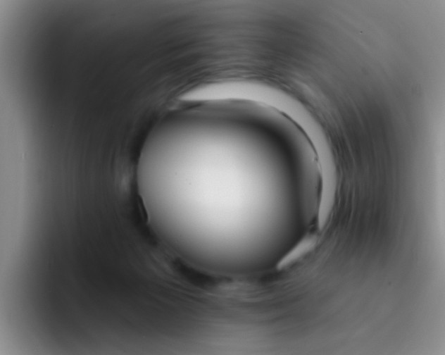 X0000091930125200709261921