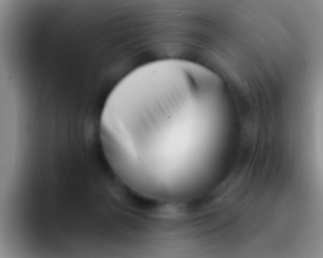 X0000091930126200709261921