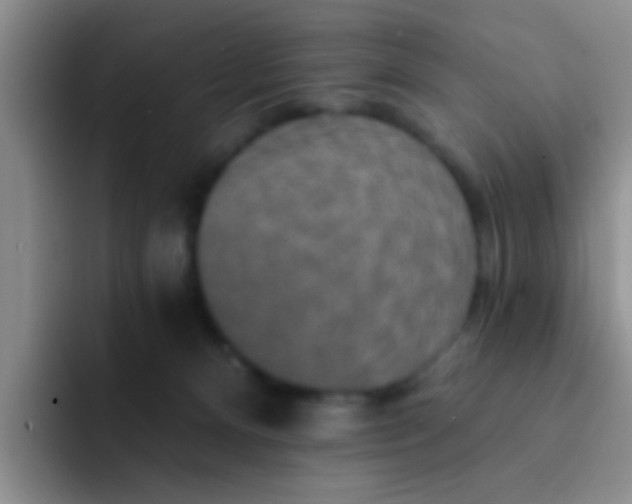 X0000091930128200709261921