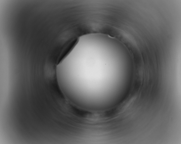 X0000091930129200709261921