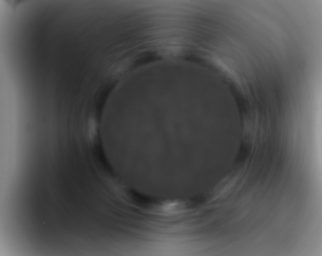 X0000091930130200709261921