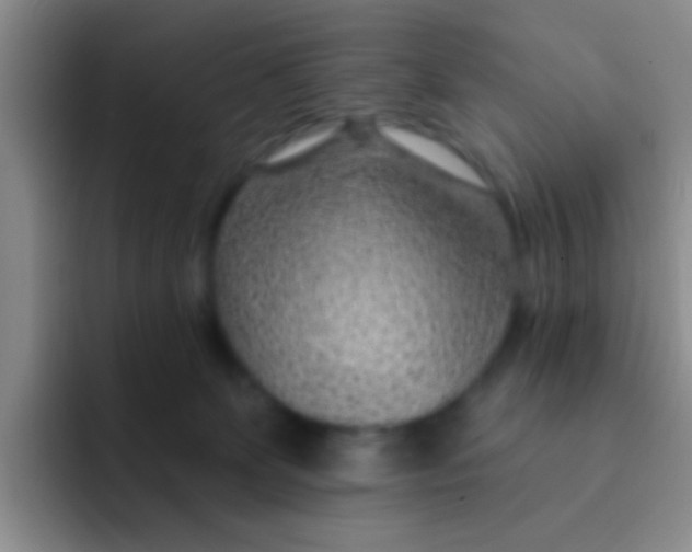 X0000091930131200709261921