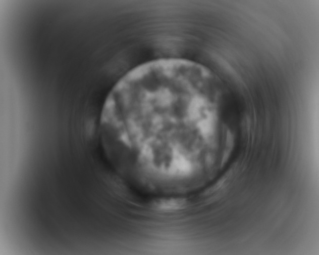 X0000091930134200709261921