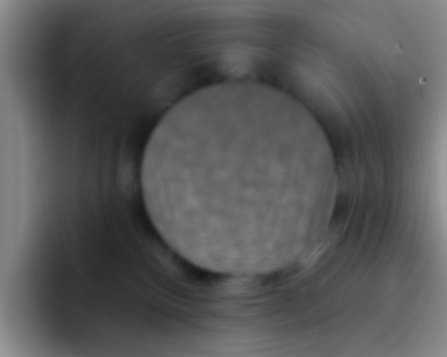X0000091930136200709261921