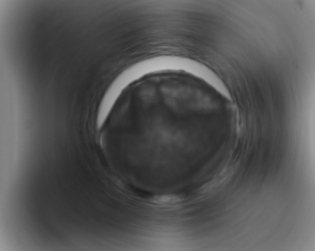 X0000091930137200709261921