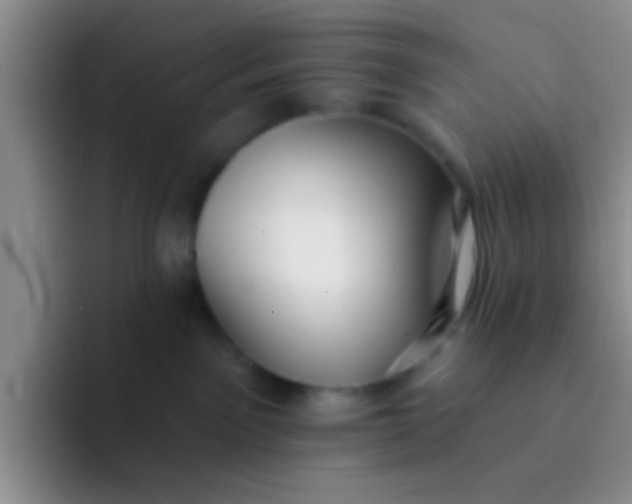 X0000091930141200709261921