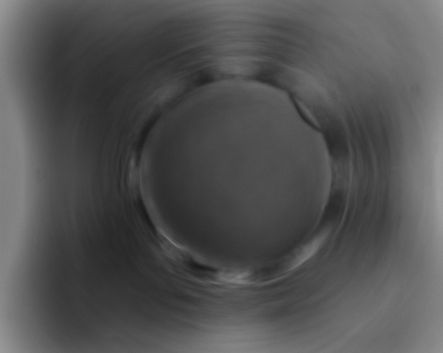 X0000091930143200709261921