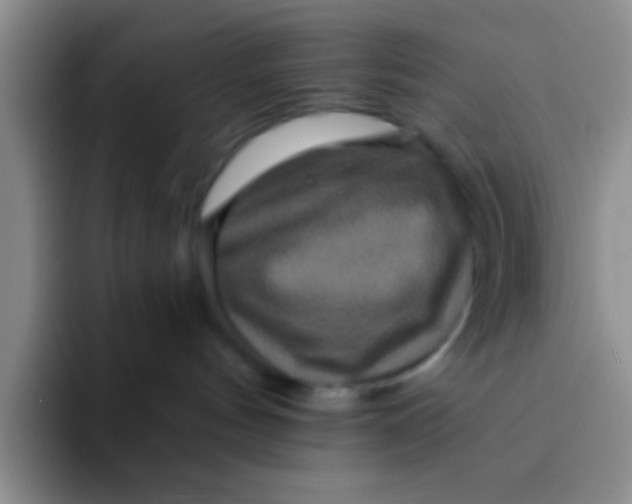 X0000091930144200709261921