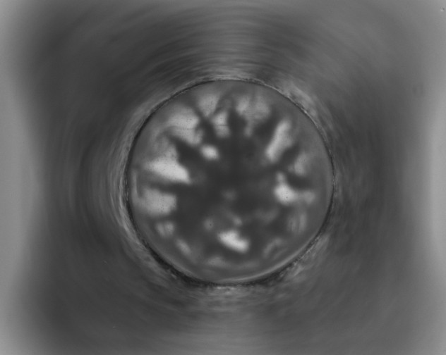 X0000091930145200709261920