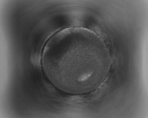 X0000091930146200709261920