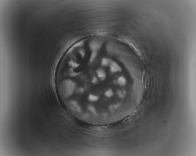 X0000091930147200709261920