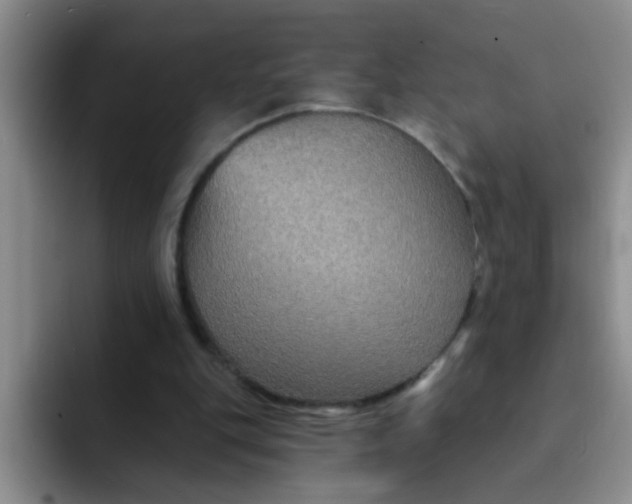 X0000091930151200709261920