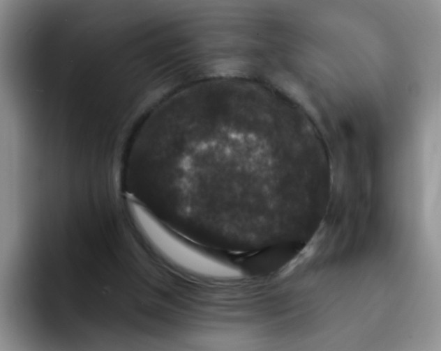 X0000091930154200709261920