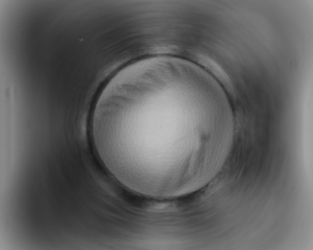 X0000091930155200709261920