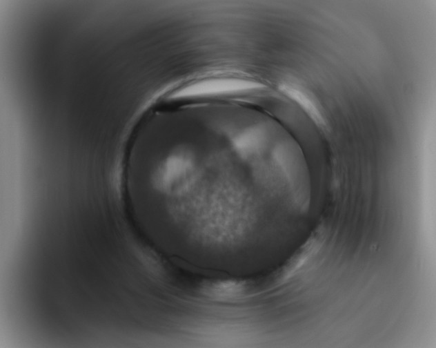 X0000091930156200709261920