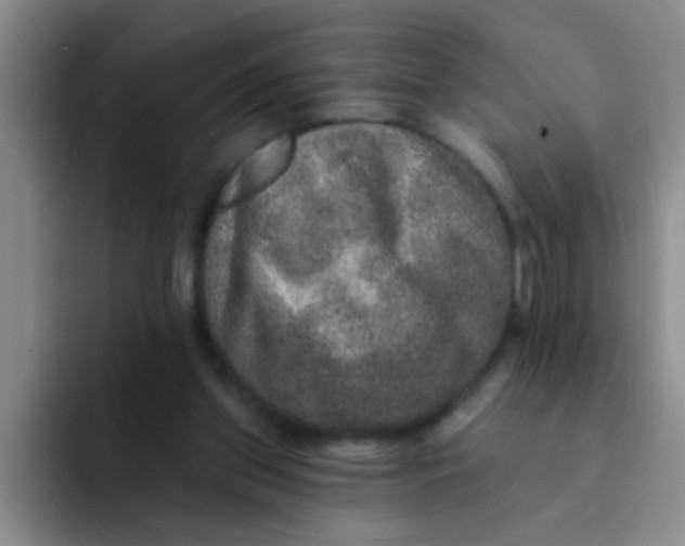 X0000091930157200709261920