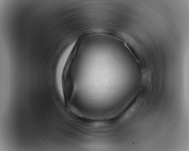 X0000091930158200709261920