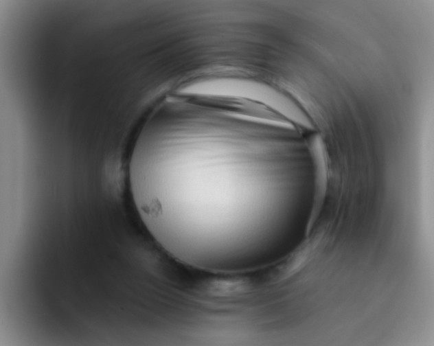 X0000091930160200709261920