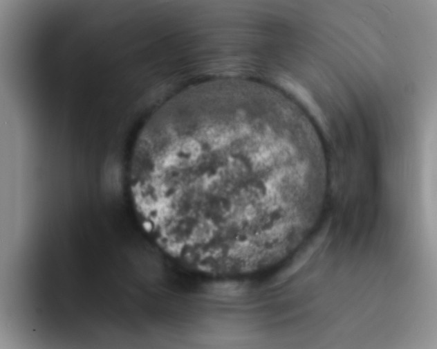 X0000091930161200709261920