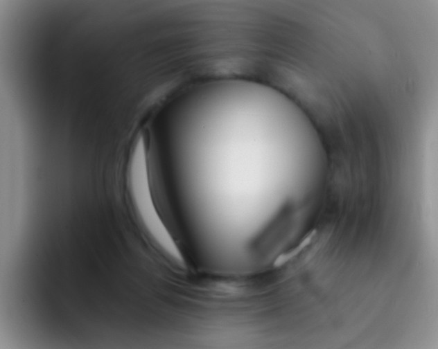 X0000091930164200709261920