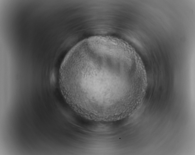 X0000091930166200709261920