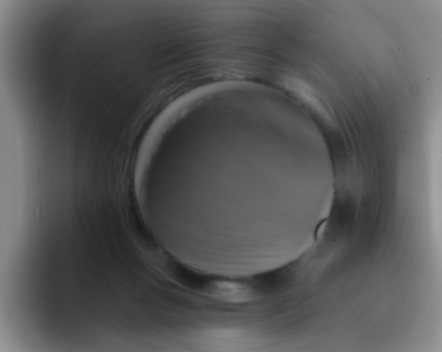 X0000091930167200709261920