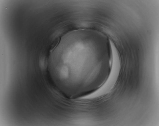 X0000091930168200709261920