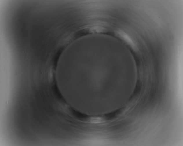 X0000091930169200709261920