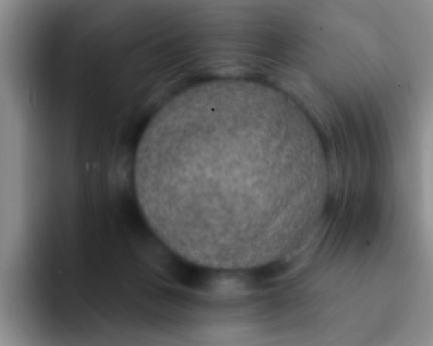 X0000091930175200709261921