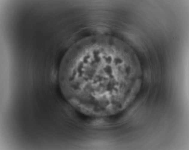 X0000091930177200709261921