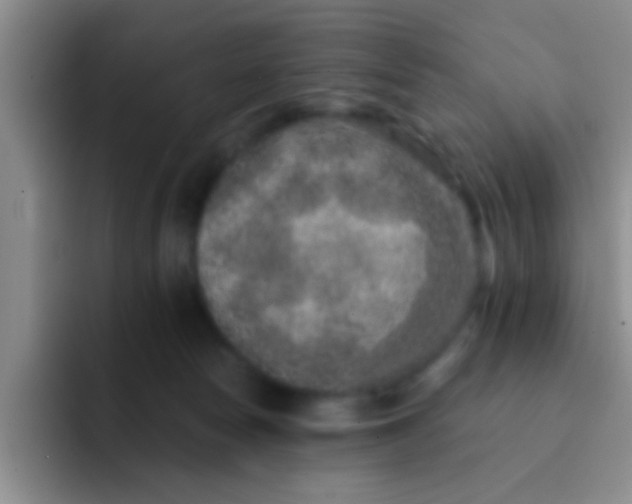 X0000091930178200709261921