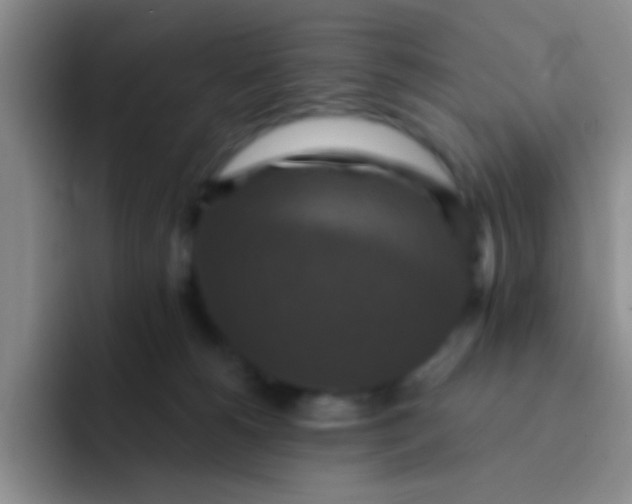 X0000091930180200709261921