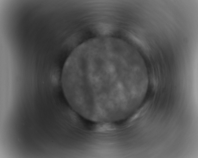 X0000091930181200709261921